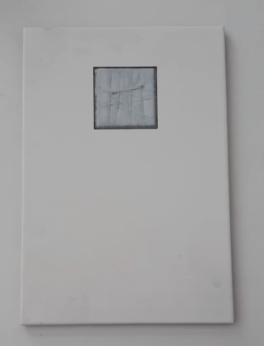 Frise Vives 23 x 33,5 cm / Collection Brava Magica Gris — Réf. DST080